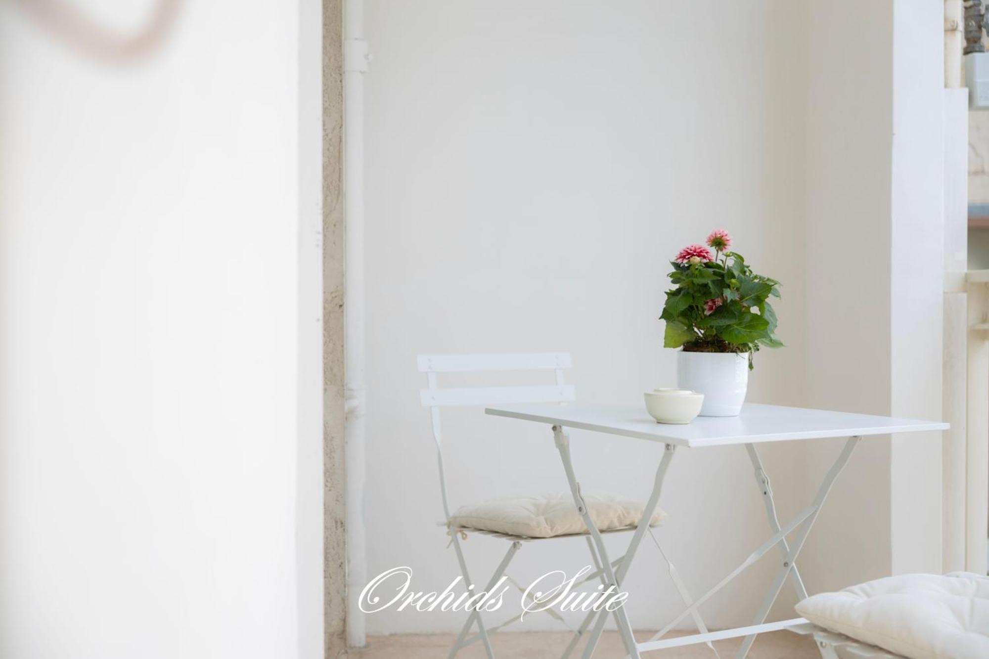 Orchids Suite باري المظهر الخارجي الصورة